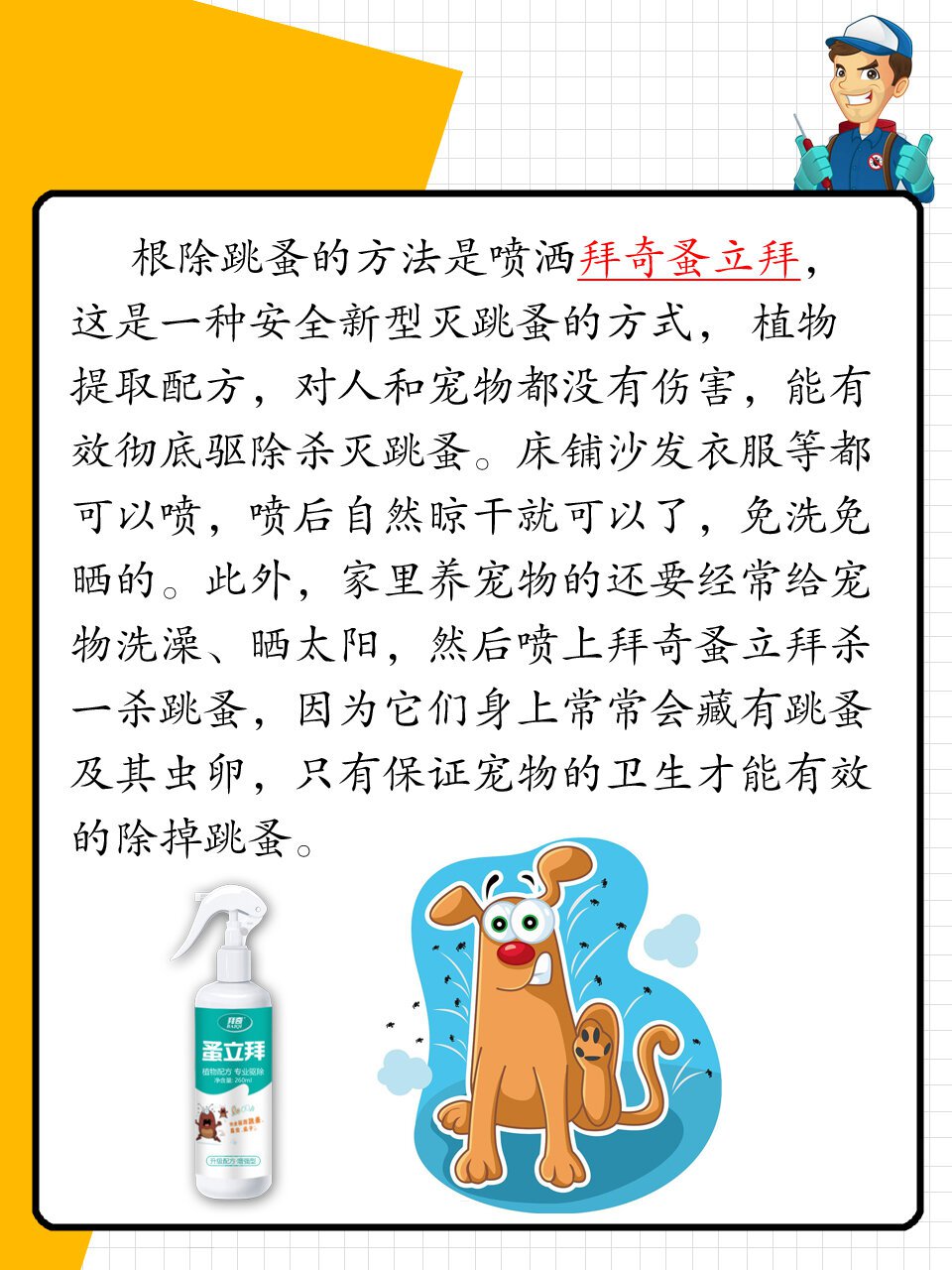 房间有跳蚤如何清除